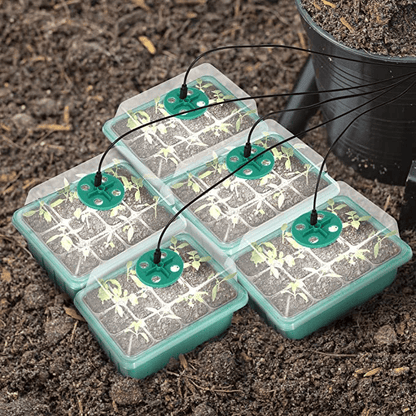 Last day Only $4.33 each - Adjustable Humidity Seed Starter Trays