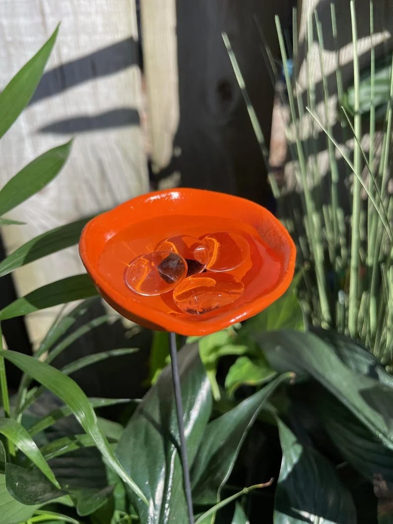 Sitewide! 🐝Bee Watering Station,🦋Butterfly Puddler,Hummingbird Drinking Cups