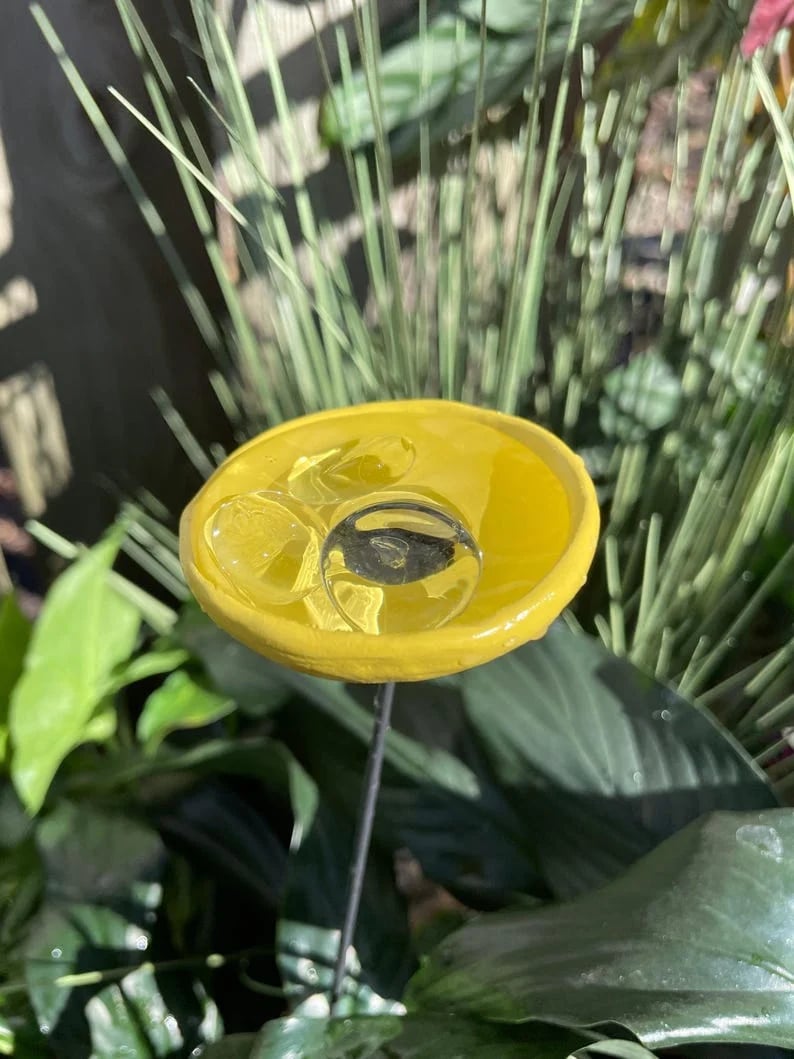 Sitewide! 🐝Bee Watering Station,🦋Butterfly Puddler,Hummingbird Drinking Cups