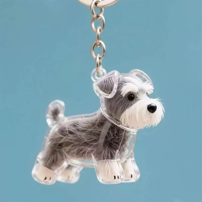 🐶🐱Newest Creative Transparent Dog/Cat Hair Collection Container Keychain